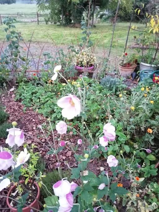Les Hortensias La Souris Des Champs Étival-Clairefontaine Eksteriør bilde