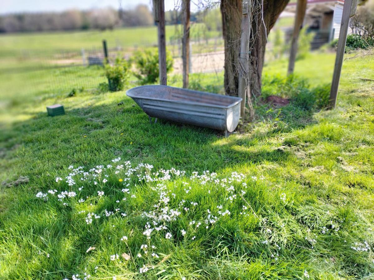 Les Hortensias La Souris Des Champs Étival-Clairefontaine Eksteriør bilde