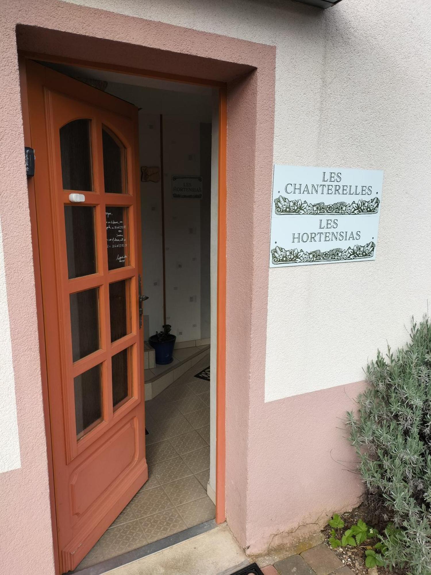 Les Hortensias La Souris Des Champs Étival-Clairefontaine Eksteriør bilde